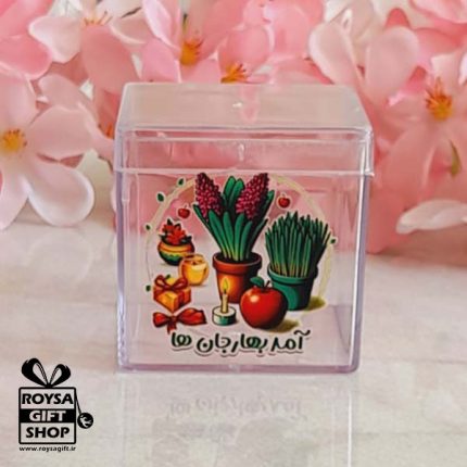 باکس هدیه و خوراکی تم نوروزی(02)